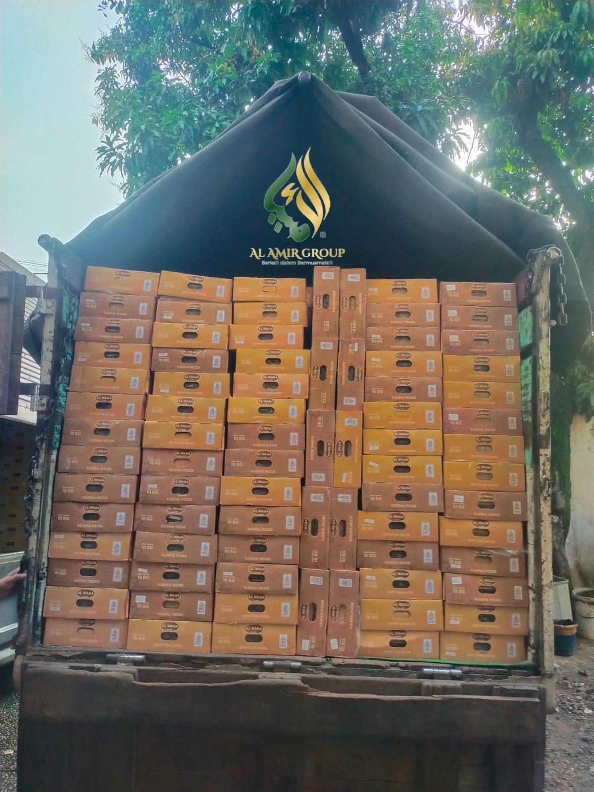 KURMA MESIR AL WAHA