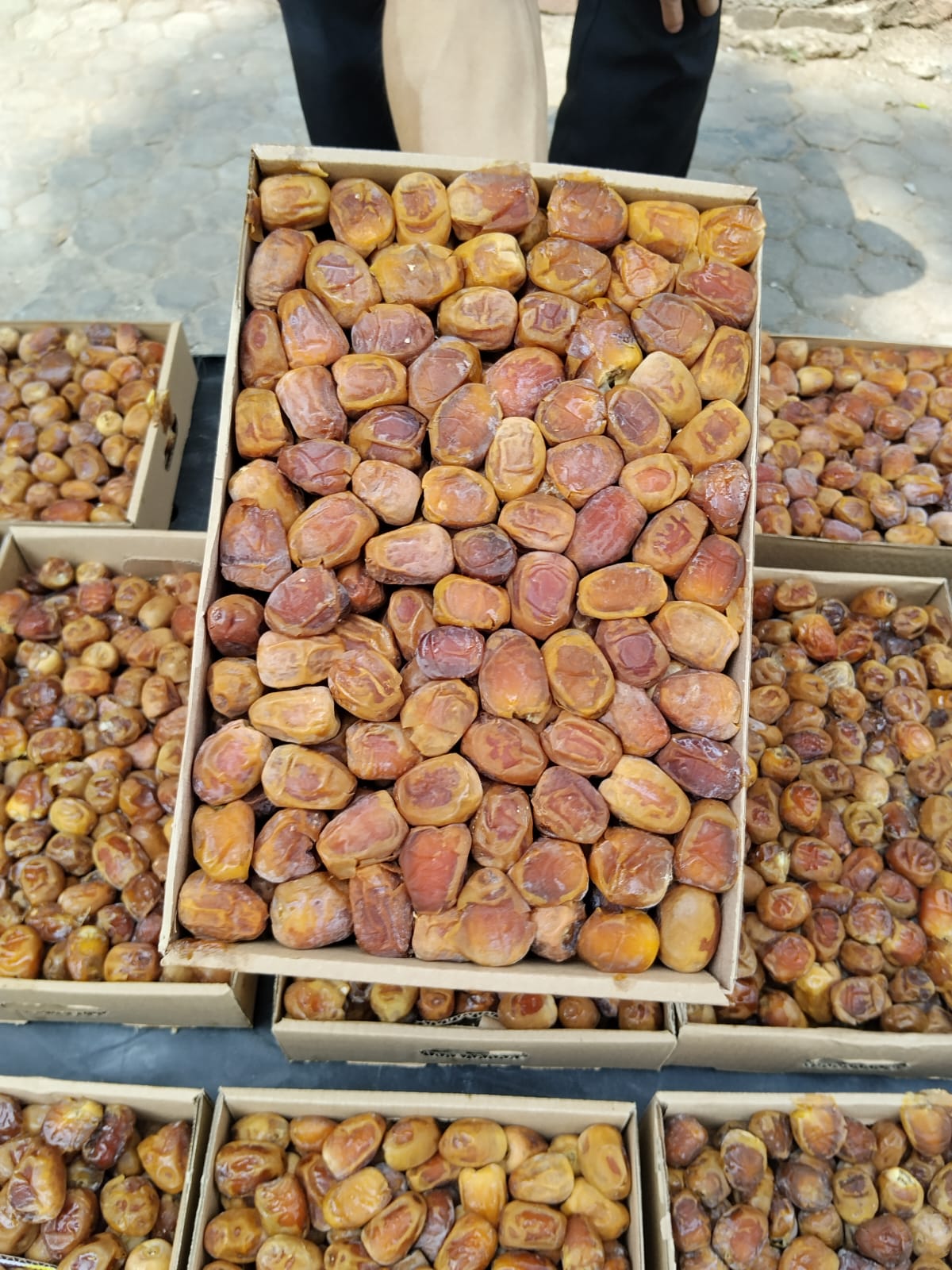 SUKARI ALQOSIM - HC (3kg)
