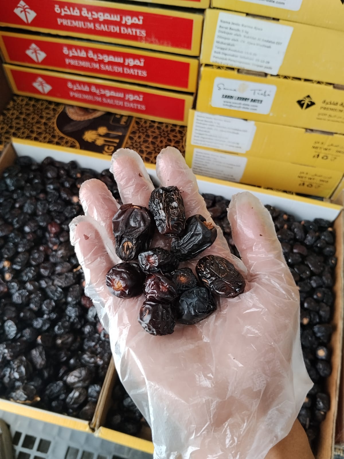 KURMA AJWA MADINAH (5kg)