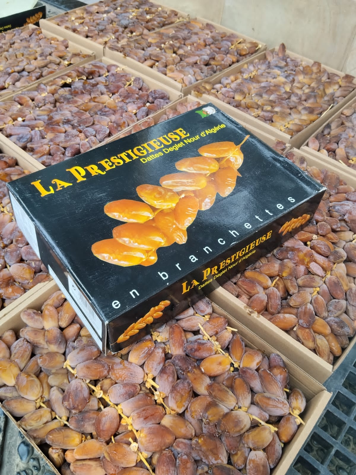KURMA TANGKAI ALGERIA (5kg)